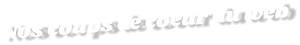 Nos coups de coeur du web